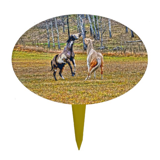 Two Playful Pinto Paint Horses Equine Art Design Cake Topper (Front)