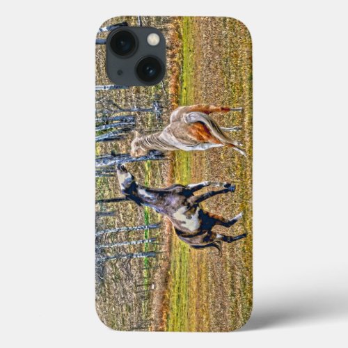 Two Playful Pinto Paint Horses Equine Art Design iPhone 13 Case