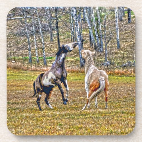 Two Playful Pinto Paint Horses Equine Art Design Coaster