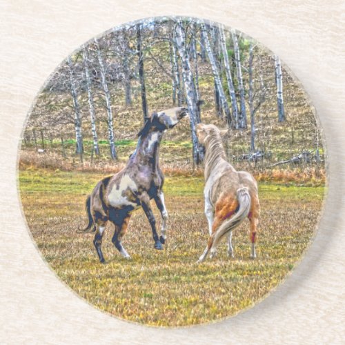 Two Playful Pinto Paint Horses Equine Art Design Coaster