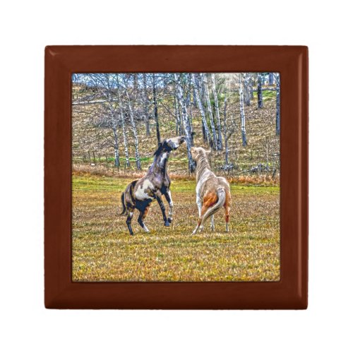Two Playful Pinto Paint Horses Equine Art Design Gift Box