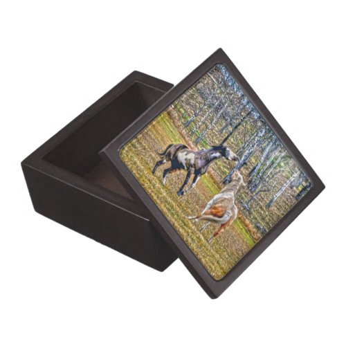 Two Playful Pinto Paint Horses Equine Art Design Jewelry Box
