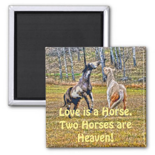 Two Playful Pinto Paint Horses Equine Art Design Magnet