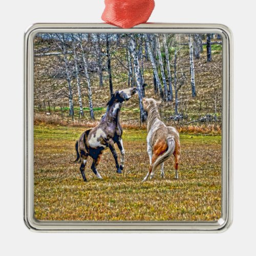 Two Playful Pinto Paint Horses Equine Art Design Metal Ornament