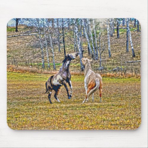 Two Playful Pinto Paint Horses Equine Art Design Mouse Pad