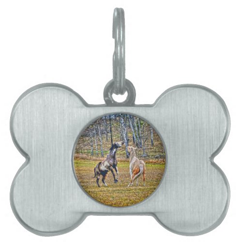 Two Playful Pinto Paint Horses Equine Art Design Pet ID Tag