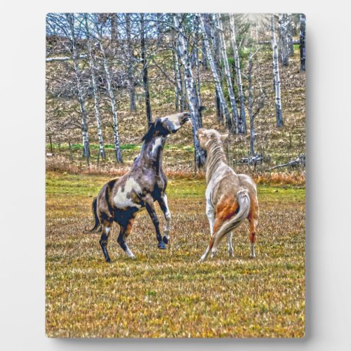 Two Playful Pinto Paint Horses Equine Art Design Plaque