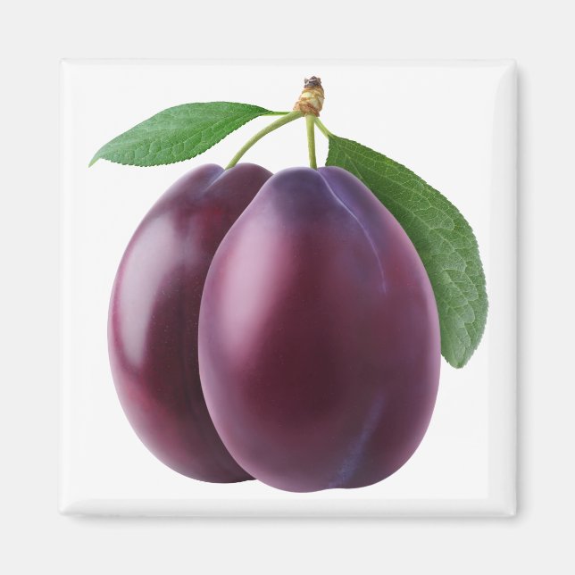 Two plums magnet (Front)