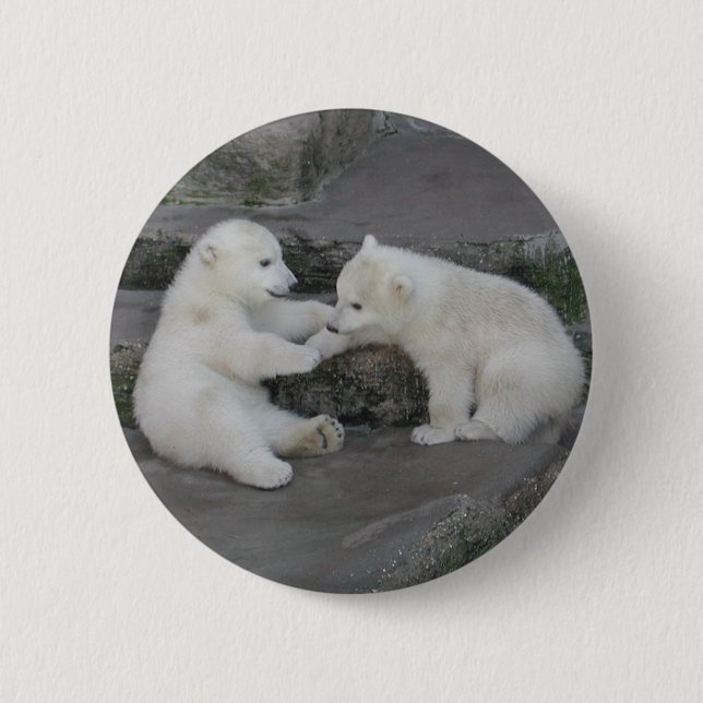 Two Polar Bear Cubs Button (Front)