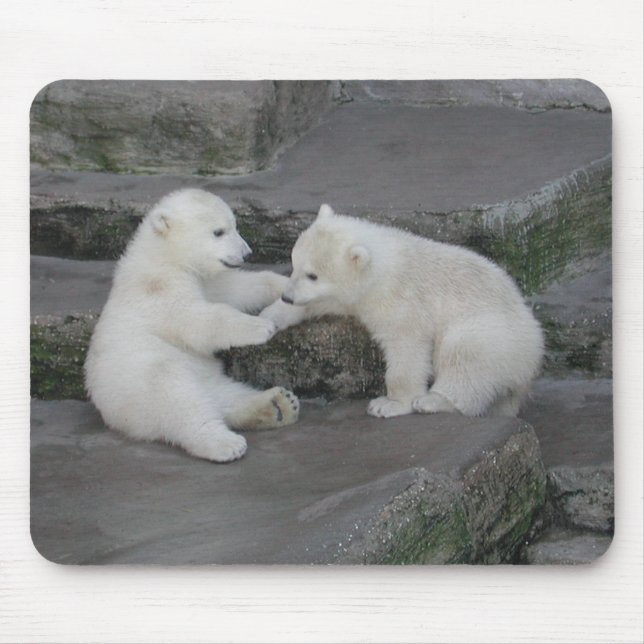 Two Polar bear cubs Mouse Pad (Front)