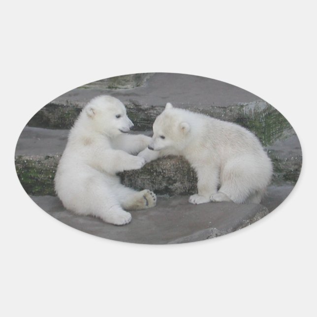 Two Polar bear cubs Oval Sticker (Front)