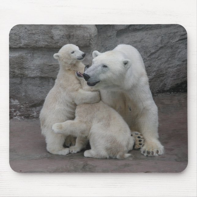 Two Polar bear cubs with mother Mouse Pad (Front)