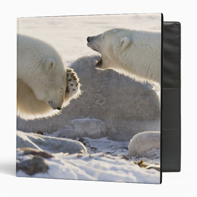 Two Polar Bears Binder (Front/Inside)