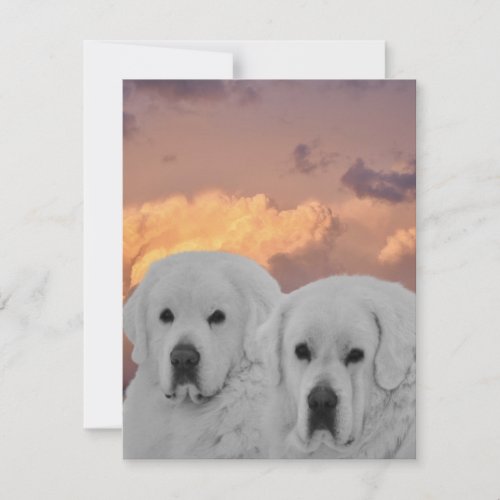 Two Polish Tatra Sheepdogs under striking sky Thank You Card