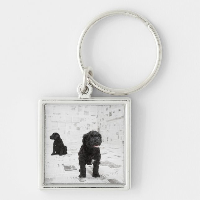 Two Portuguese Water Dog puppies in a room Keychain (Front)