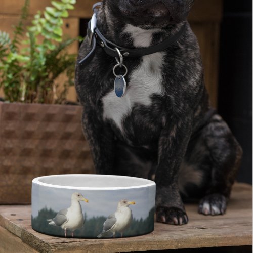 Two Posing Seagulls Pattern Bowl