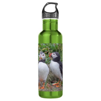Two Puffins Stainless Steel Water Bottle by Welshpixels at Zazzle