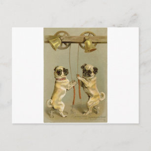 Two pug dogs ringing the Christmas bells Holiday Postcard