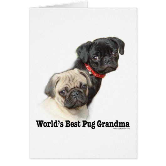 Two Pugs Cards (Front)