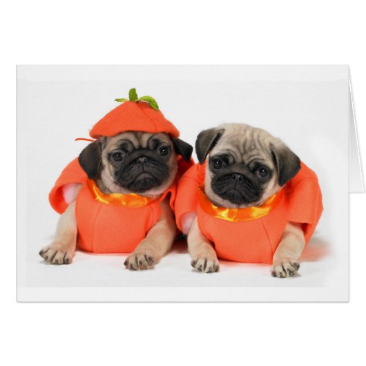 Two Pugs Cards (Front Horizontal)