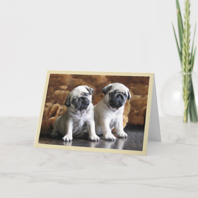 Two Pugs Greeting Card (Front)