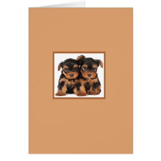 Two Puppies Cards (Front)