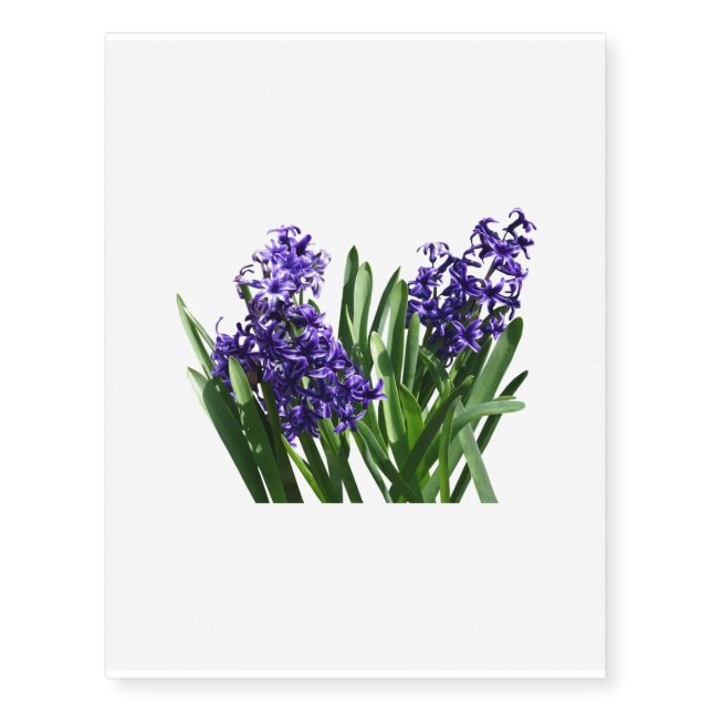 Two Purple Hyacinths Temporary Tattoos (Front)