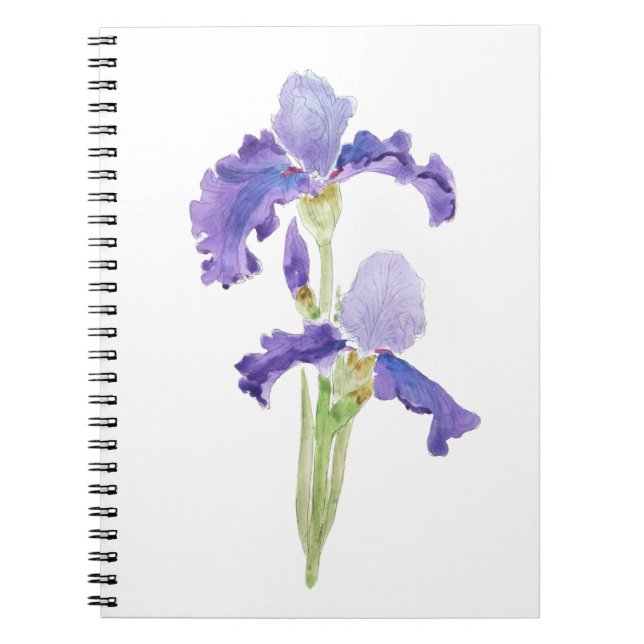 two purple irises ink and watercolor notebook (Front)