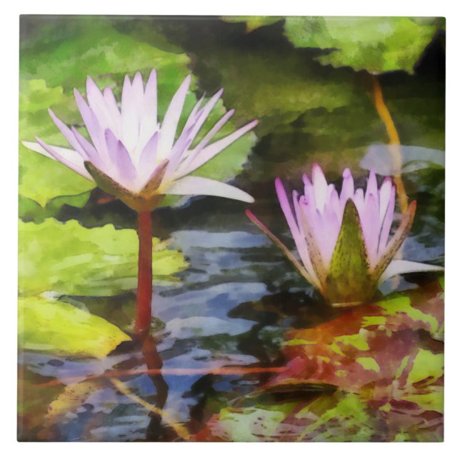 Two Purple Water Lotus Tile (Front)