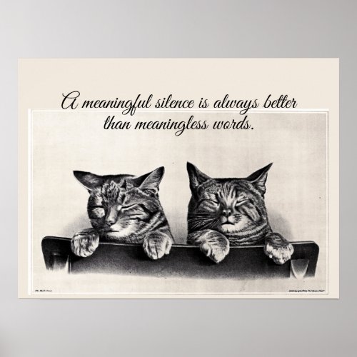 Two Quiet Zenful  Cats Vintage Photo Silence Poster