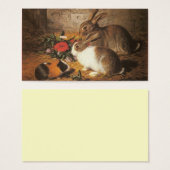 Two Rabbits and a Guinea Pig (Front & Back)