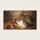 Two Rabbits and a Guinea Pig (Front)
