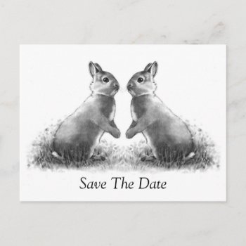 Two Rabbits (bunnies): Save The Date Announcement Postcard by joyart at Zazzle