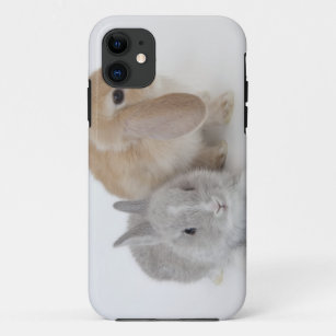 Two rabbits.Netherland Dwarf and Holland Lop. iPhone 11 Case