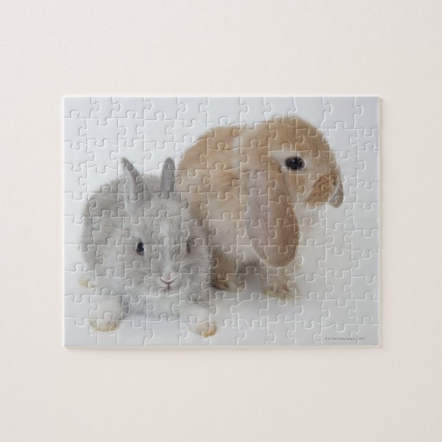 Two rabbits.Netherland Dwarf and Holland Lop. Jigsaw Puzzle (Horizontal)