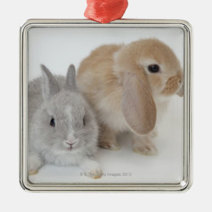 Two rabbits.Netherland Dwarf and Holland Lop. Metal Ornament
