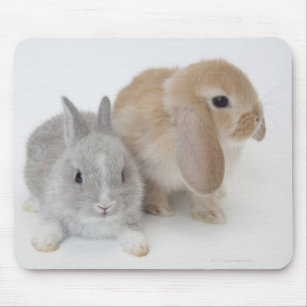 Two rabbits.Netherland Dwarf and Holland Lop. Mouse Pad