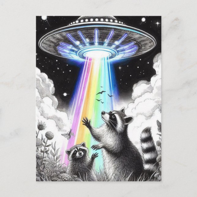 Two Raccoons and Rainbow UFO in wildflower meadow Postcard (Front)