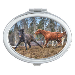 Two Ranch Horses Fighting Action Equine Photo Vanity Mirror