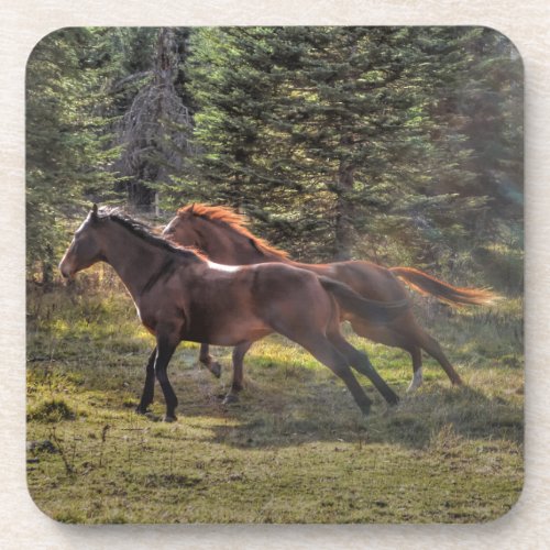 Two Ranch Horses Running in Forest Coaster