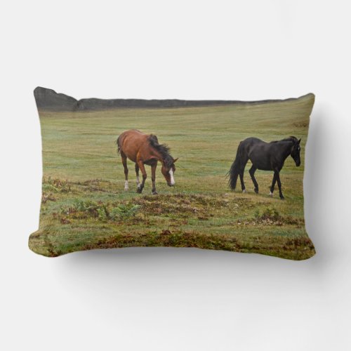 Two Rare New Forest Ponies from Hampshire England Lumbar Pillow