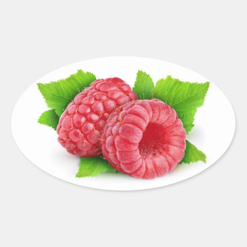 Two raspberries with leaves oval sticker
