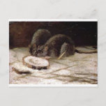 Two Rats by Vincent van Gogh Postcard<br><div class="desc">'Realism' beautiful images from legendary artists</div>