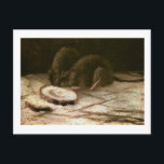 Two Rats Van Gogh Fine Art Postcard<br><div class="desc">Two Rats, Vincent van Gogh, Nuenen November 1884. Oil on panel, 29.5 x 41.5 cm. Private collection. F 177, JH 543 Vincent Willem van Gogh (30 March 1853 – 29 July 1890) was a Dutch Post-Impressionist artist. Some of his paintings are now among the world's best known, most popular and...</div>