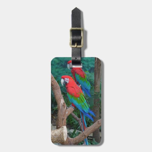 Two Red and Green Winged Macaws Ara Chloropterus Luggage Tag