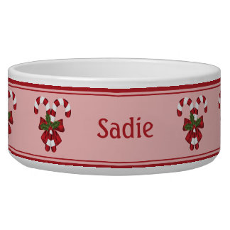 Two Red Christmas Candy Canes With Custom Pet Name Bowl