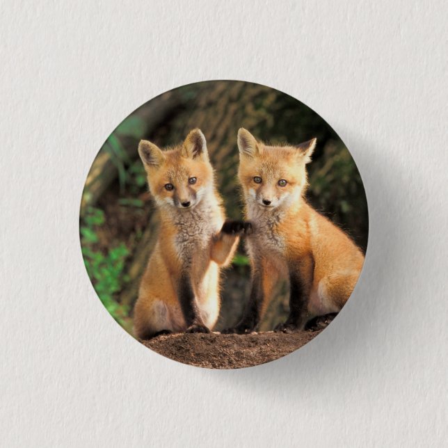 Two Red Fox Pups in Front of Their Den Button (Front)