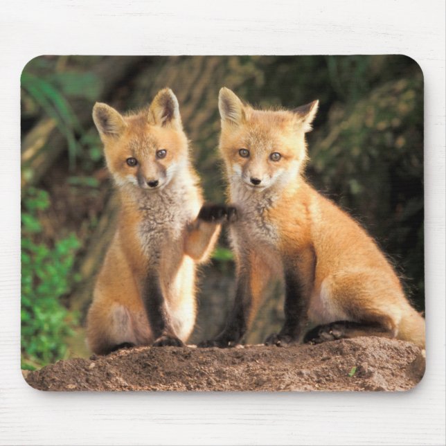 Two Red Fox Pups in Front of Their Den Mouse Pad (Front)