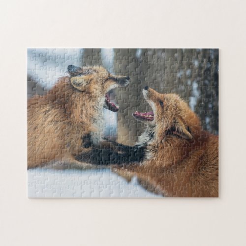 Two Red Foxes Fighting Jigsaw Puzzle