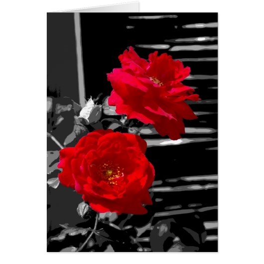 TWO RED ROSES CARDS (Front)